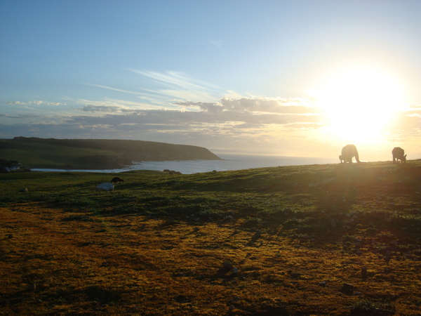 Kangaroo Island Location : Behind the scenes : Fiona Watson Production