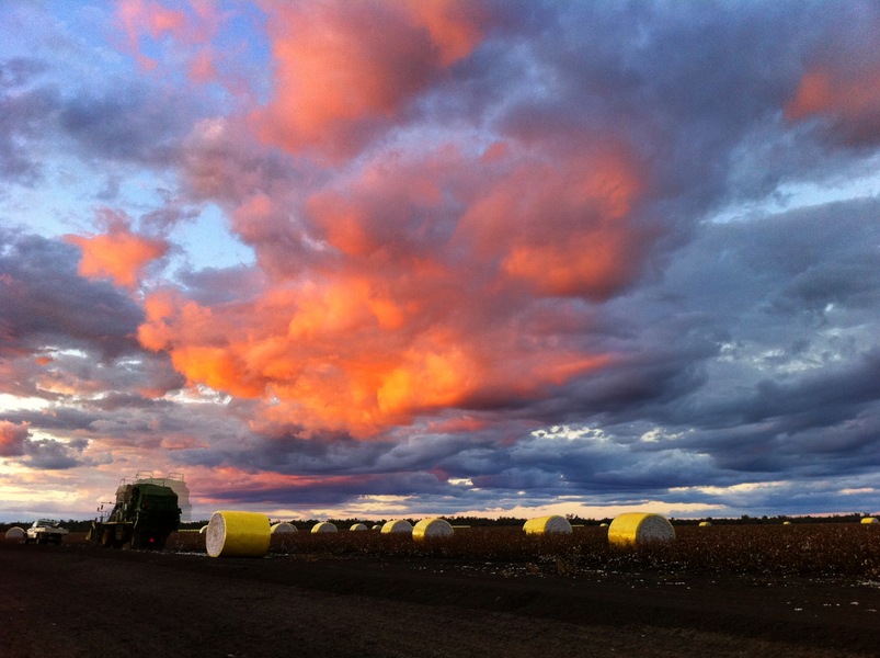 Outback QLD sky over cotton field : Behind the scenes : Fiona Watson Production