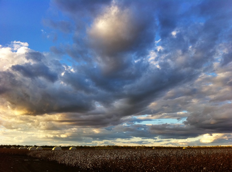 Outback QLD sky over cotton field : Behind the scenes : Fiona Watson Production